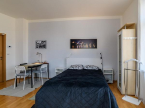 Comfortable apartment in Prague 8, Libi